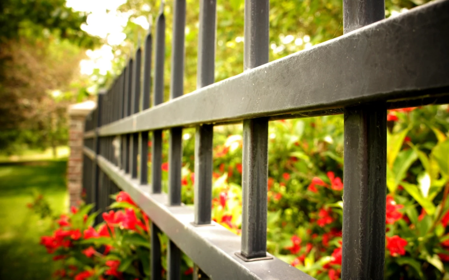 ворота, ограда, fence, забор, макро, macro, ограждение, flowers