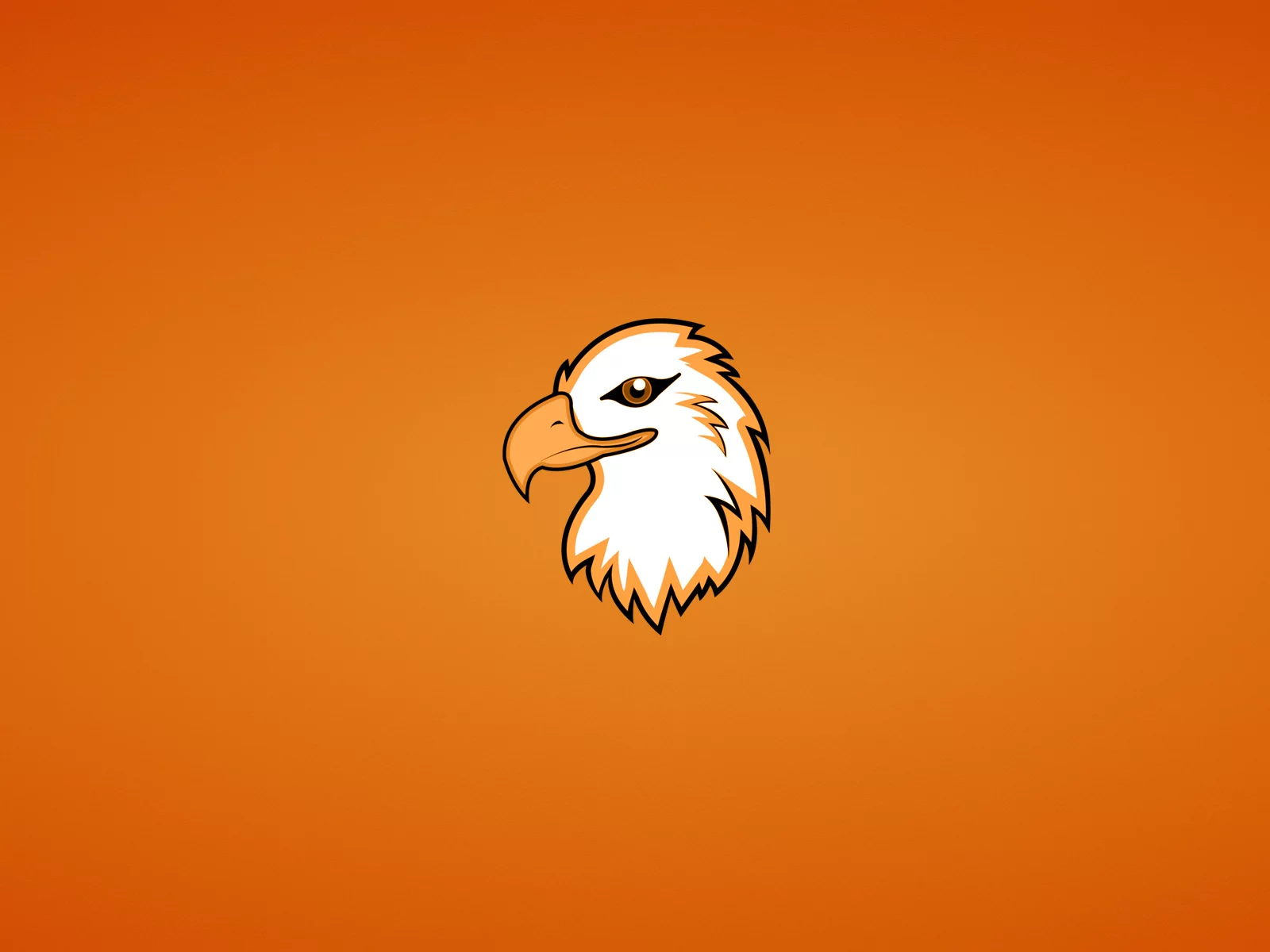 орлан, голова, eagle, орел, птица, минимализм, животное