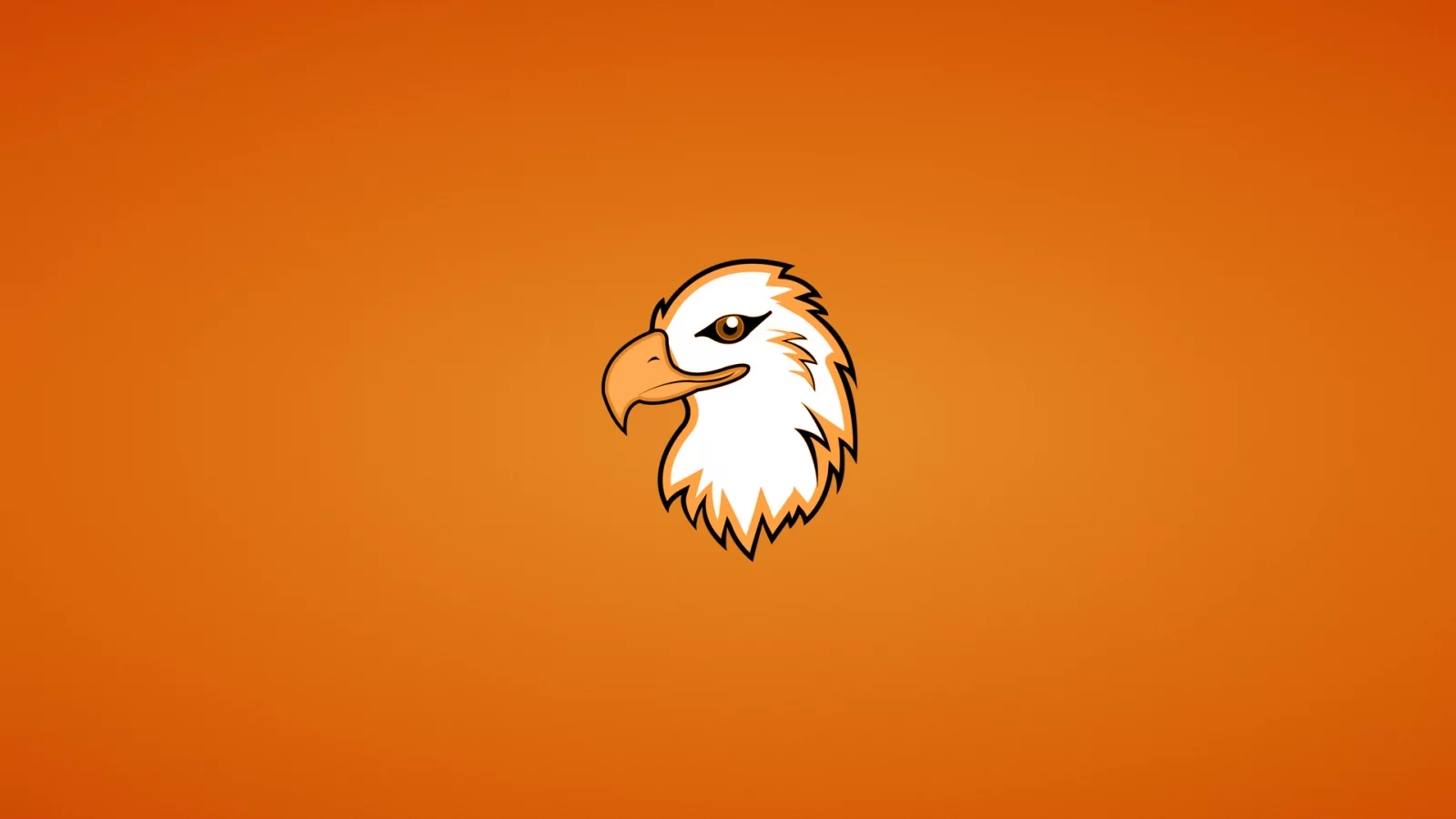 орлан, голова, eagle, орел, птица, минимализм, животное