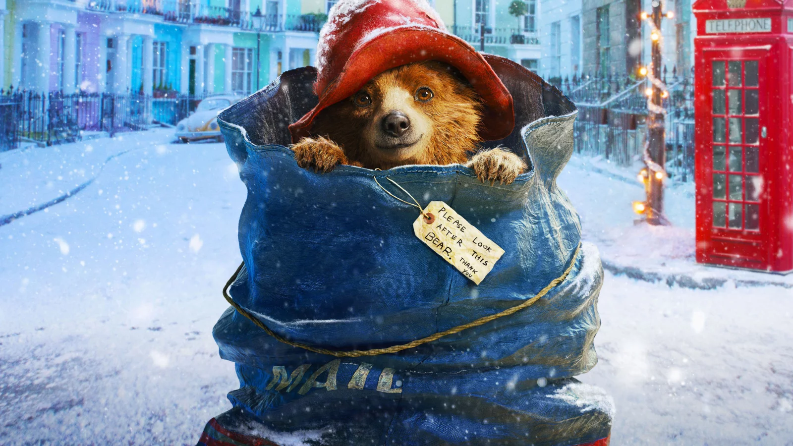 почта, медведь, снег