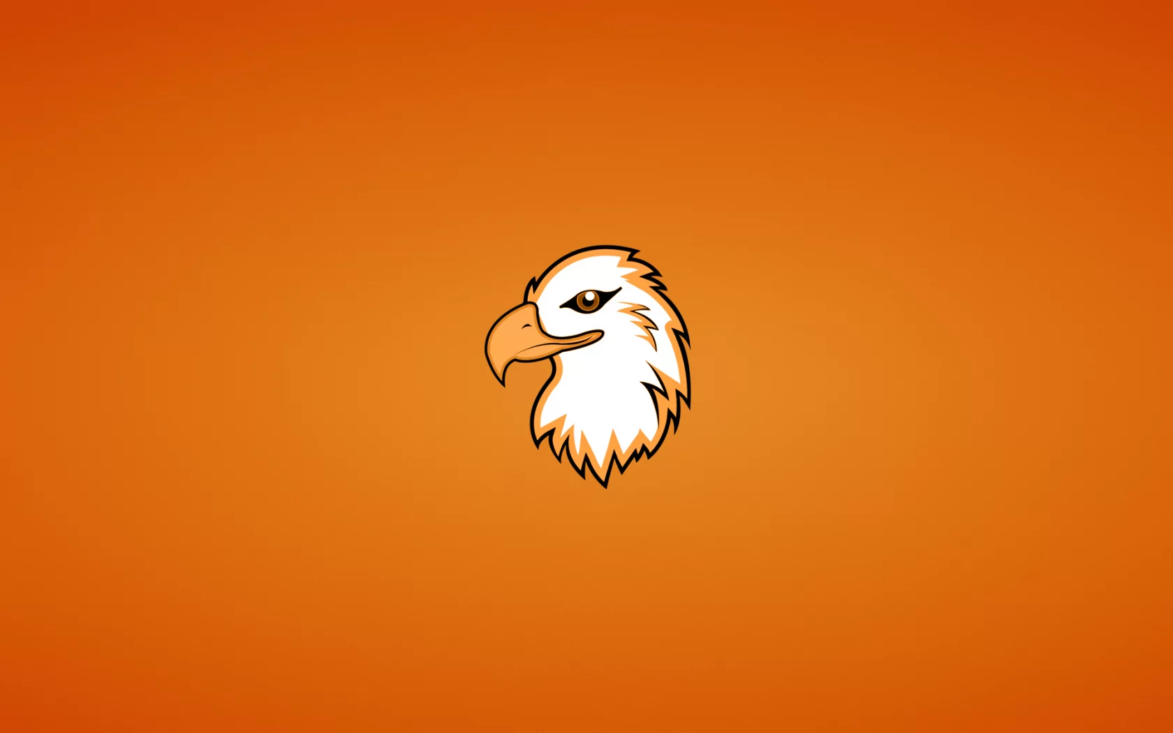 орлан, голова, eagle, орел, птица, минимализм, животное