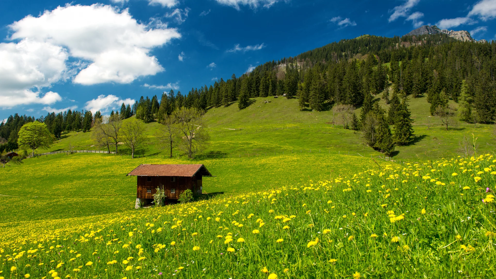 pasture in the bavarian alps, nature, clouds, green field, trees, sky, landscape, grass, germany