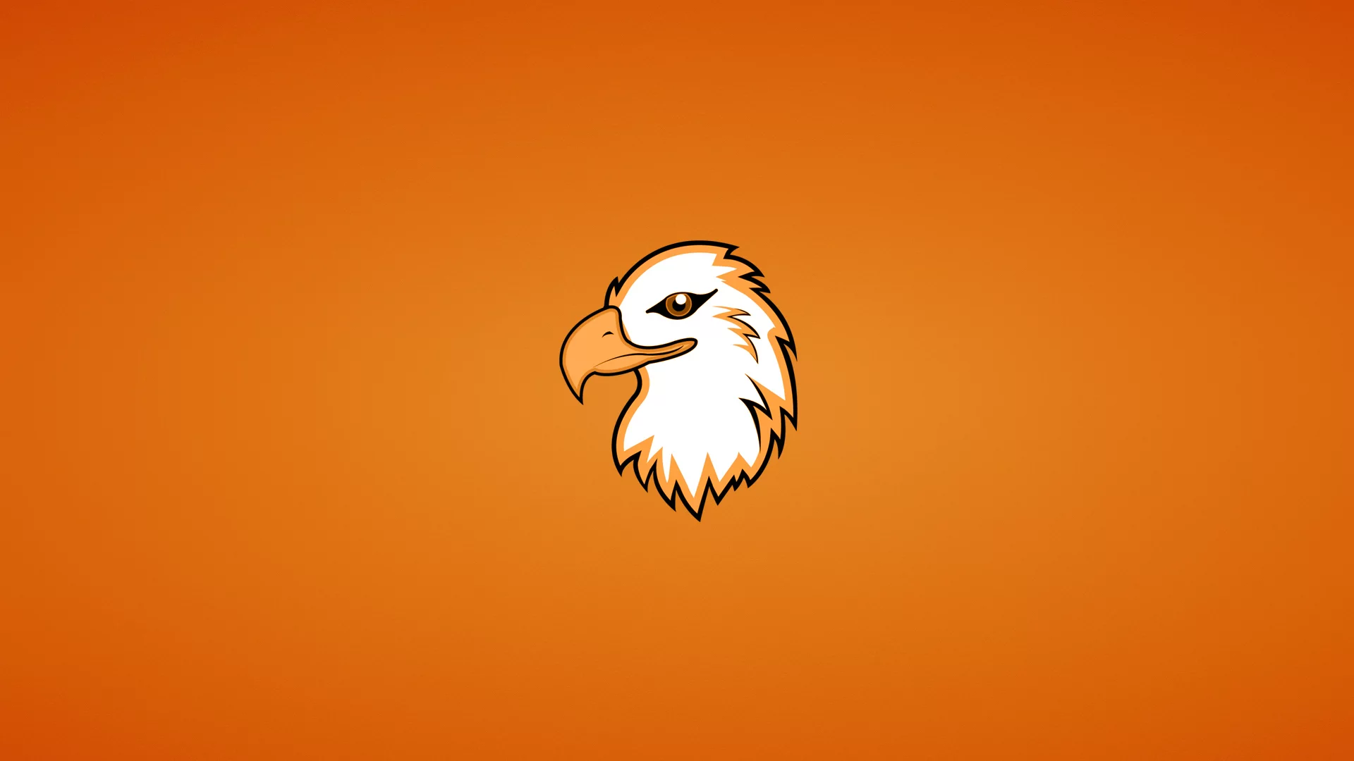 орлан, голова, eagle, орел, птица, минимализм, животное
