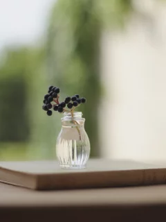 вазочка, фон, размытость, ветка, ягоды, книга