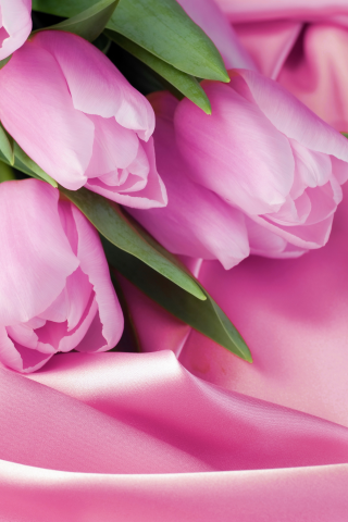 8 марта, тюльпаны, розовый, шелк