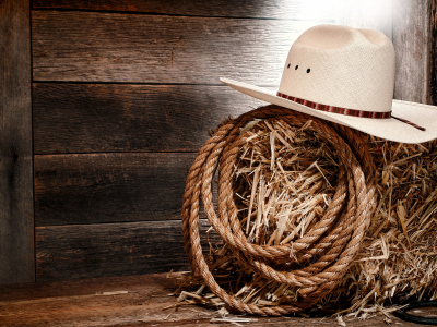 wood, wall, white hat, rope, cowboy, straw