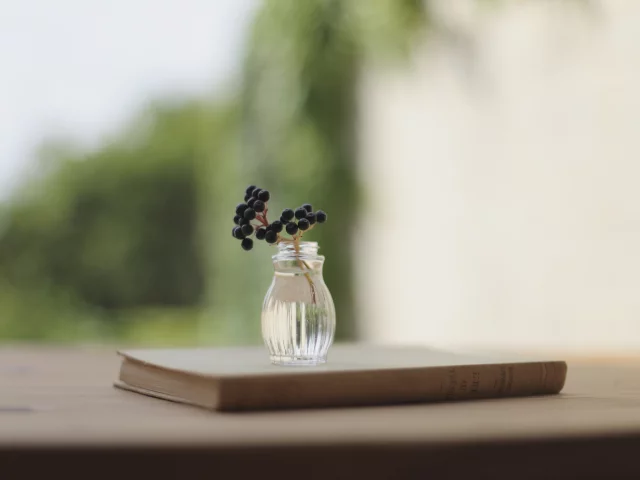 вазочка, фон, размытость, ветка, ягоды, книга