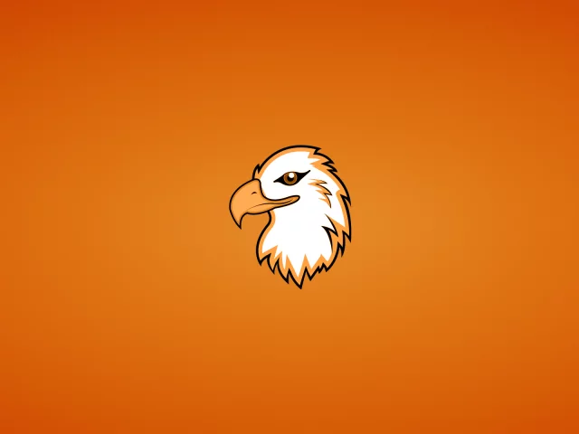 орлан, голова, eagle, орел, птица, минимализм, животное