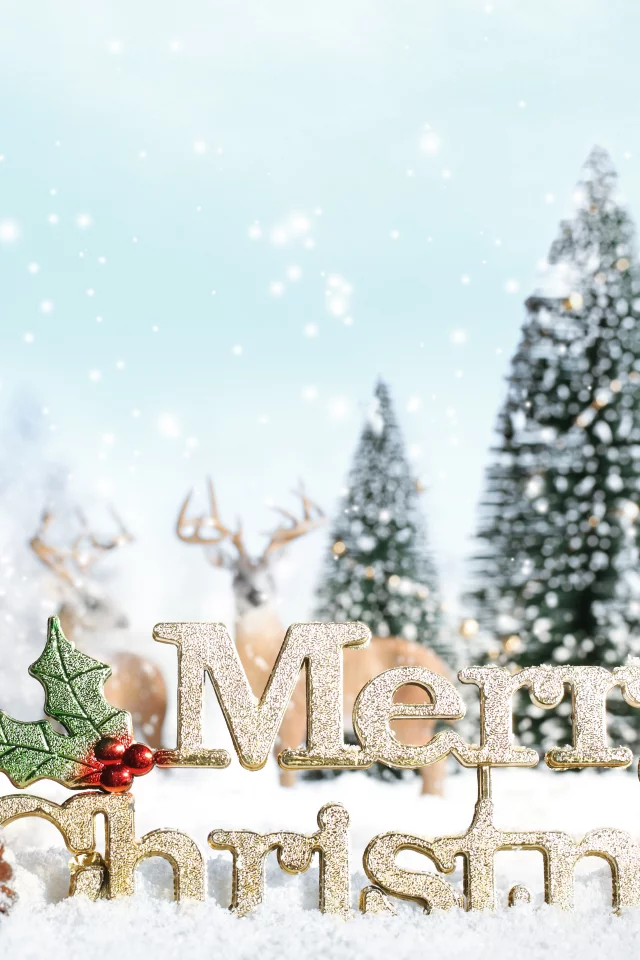 decoration, ornaments, christmas tree, new year, snow, snowflake, presents, merry christmas