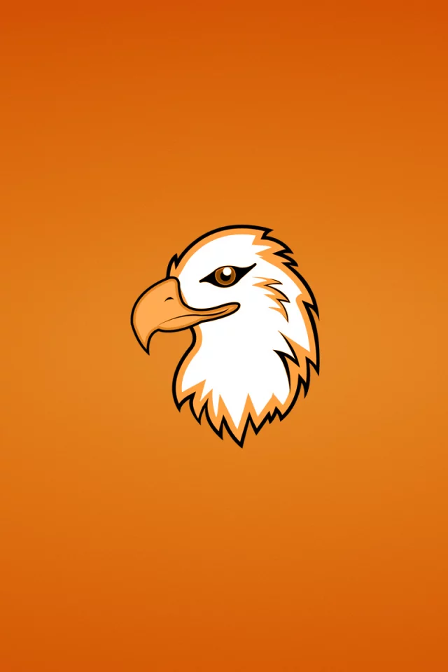 орлан, голова, eagle, орел, птица, минимализм, животное