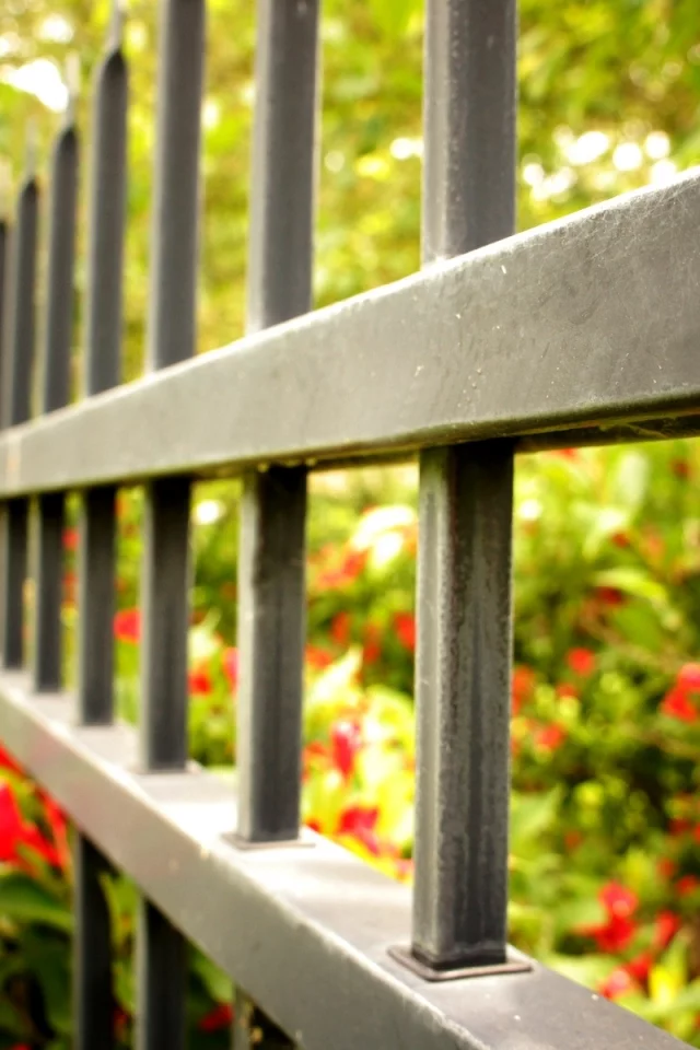 ворота, ограда, fence, забор, макро, macro, ограждение, flowers