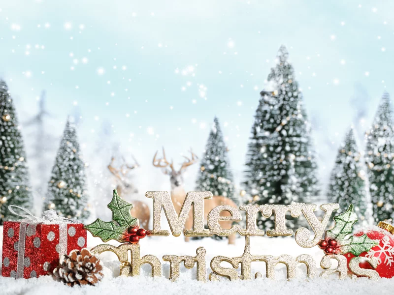 decoration, ornaments, christmas tree, new year, snow, snowflake, presents, merry christmas