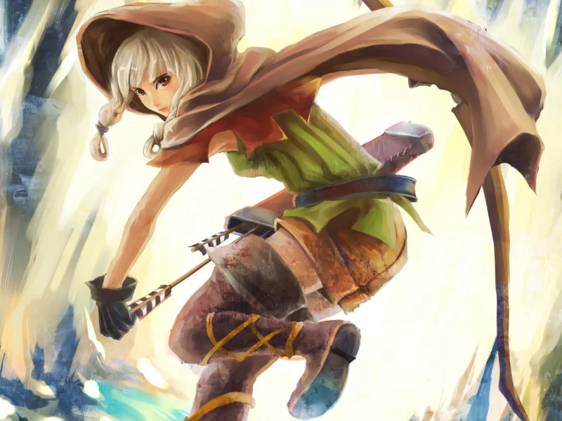 капюшон, dragon`s crown, стрелы, лук, колчан, плащ, девушка