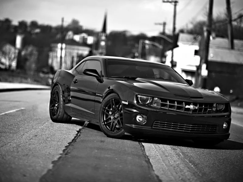 шевроле камаро, авто, chevrolet camaro ss, черно-белое