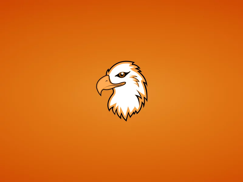 орлан, голова, eagle, орел, птица, минимализм, животное