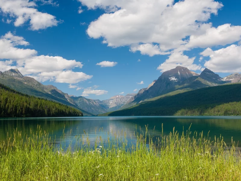национальный парк глейшер, glacier national park, bowman lake, montana