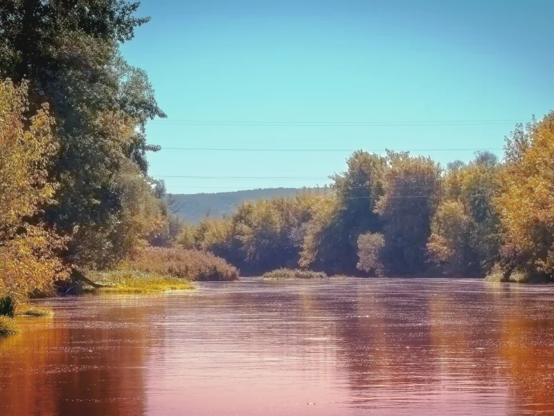 река, природа, лето