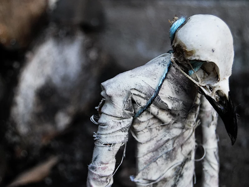 death, spooky, dead, ужас, мертвые, horror, creepy, жутко, beak, scary
