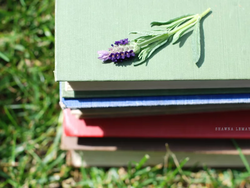 зелень, цветы, стопка, разное, цветочек, книги, трава