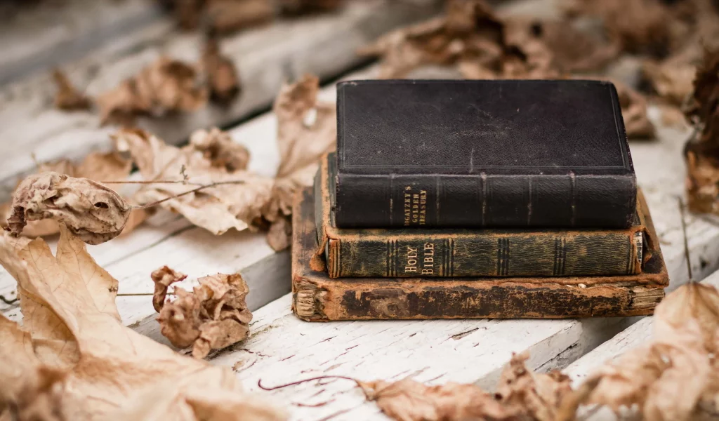 листья, книги, фон