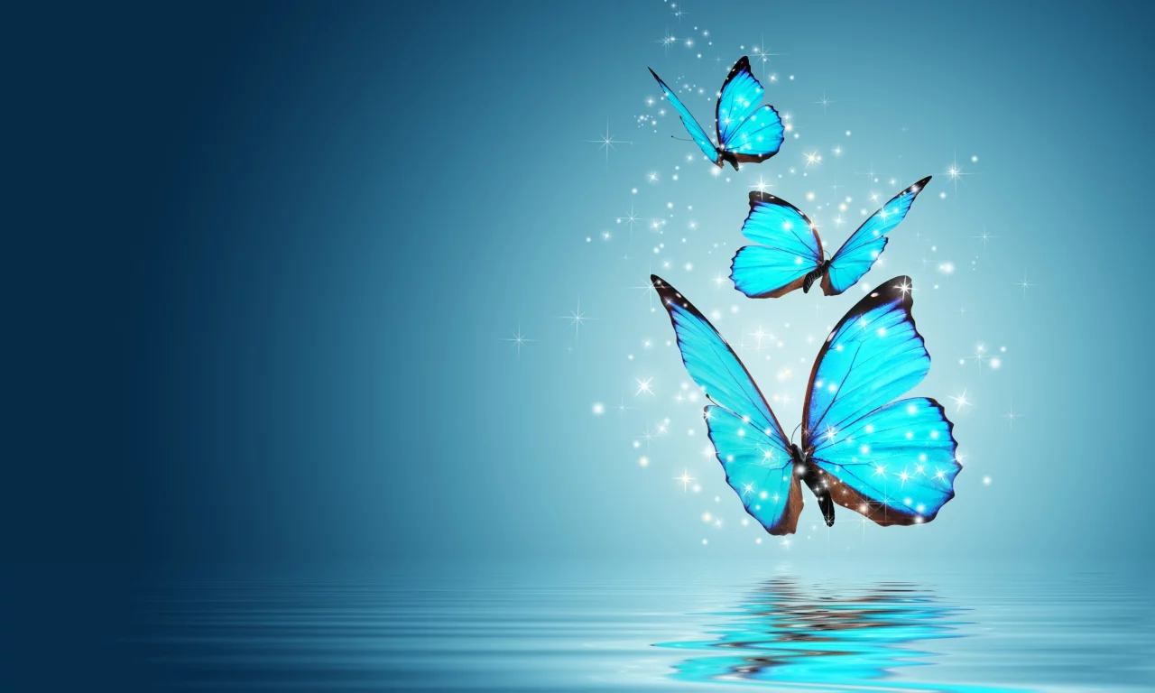 butterfly, magic, бабочка, настроения, волшебство, бабочки