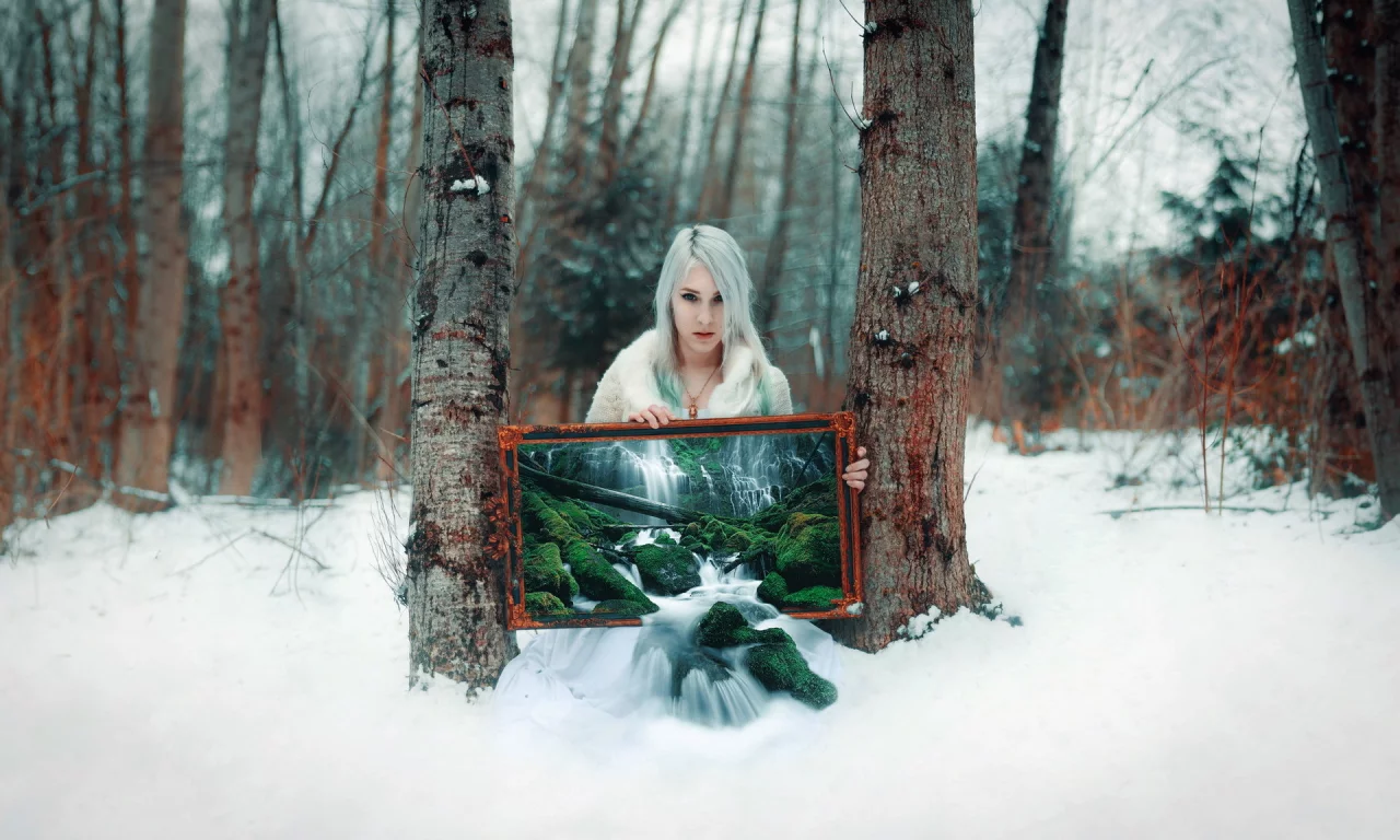 tree, winter transmissions, grove, cold, winter, snow