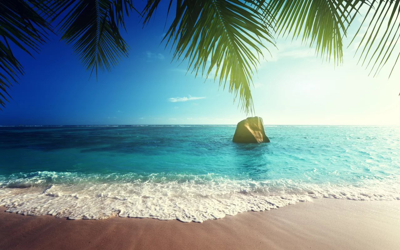 ocean, coast, paradise, beach, sea, summer, тропики, песок, tropical, palm, пляж