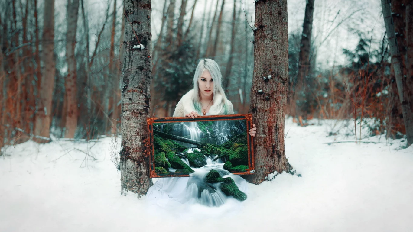 tree, winter transmissions, grove, cold, winter, snow