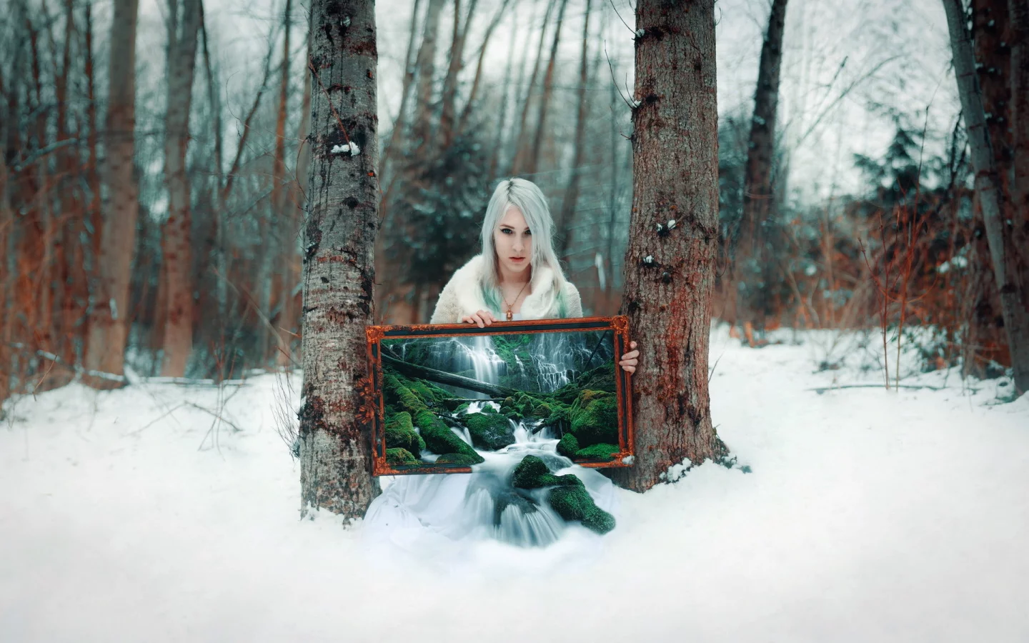 tree, winter transmissions, grove, cold, winter, snow