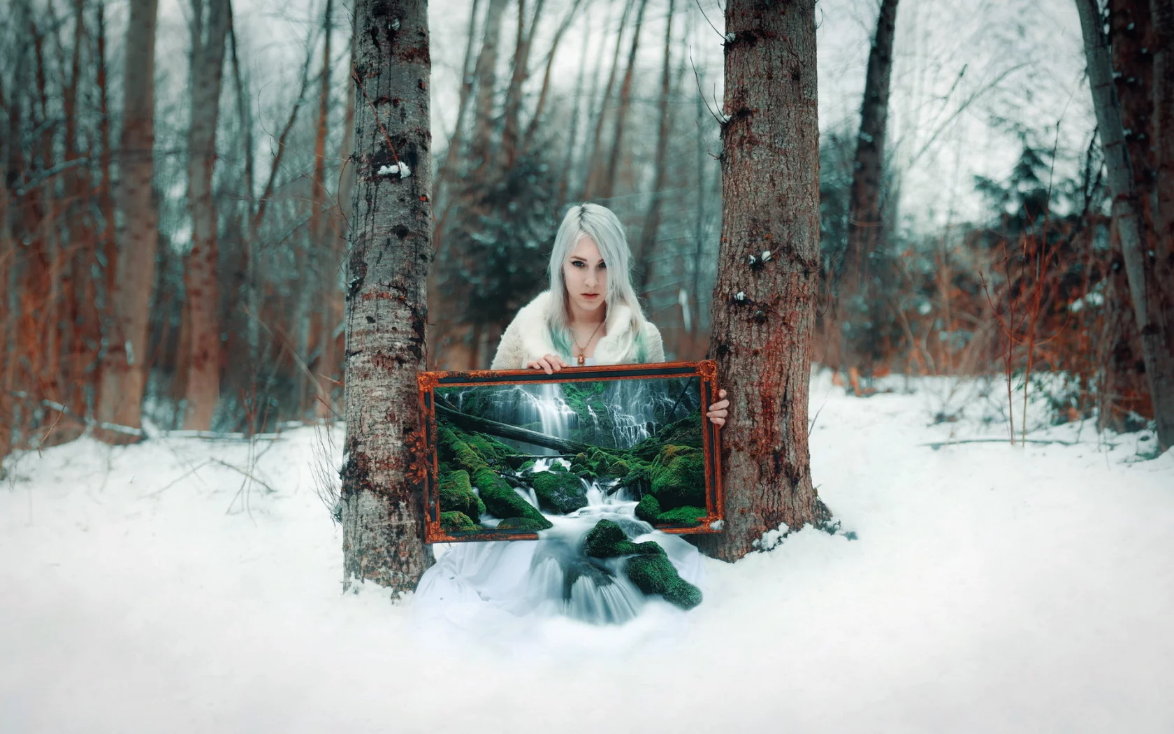 tree, winter transmissions, grove, cold, winter, snow