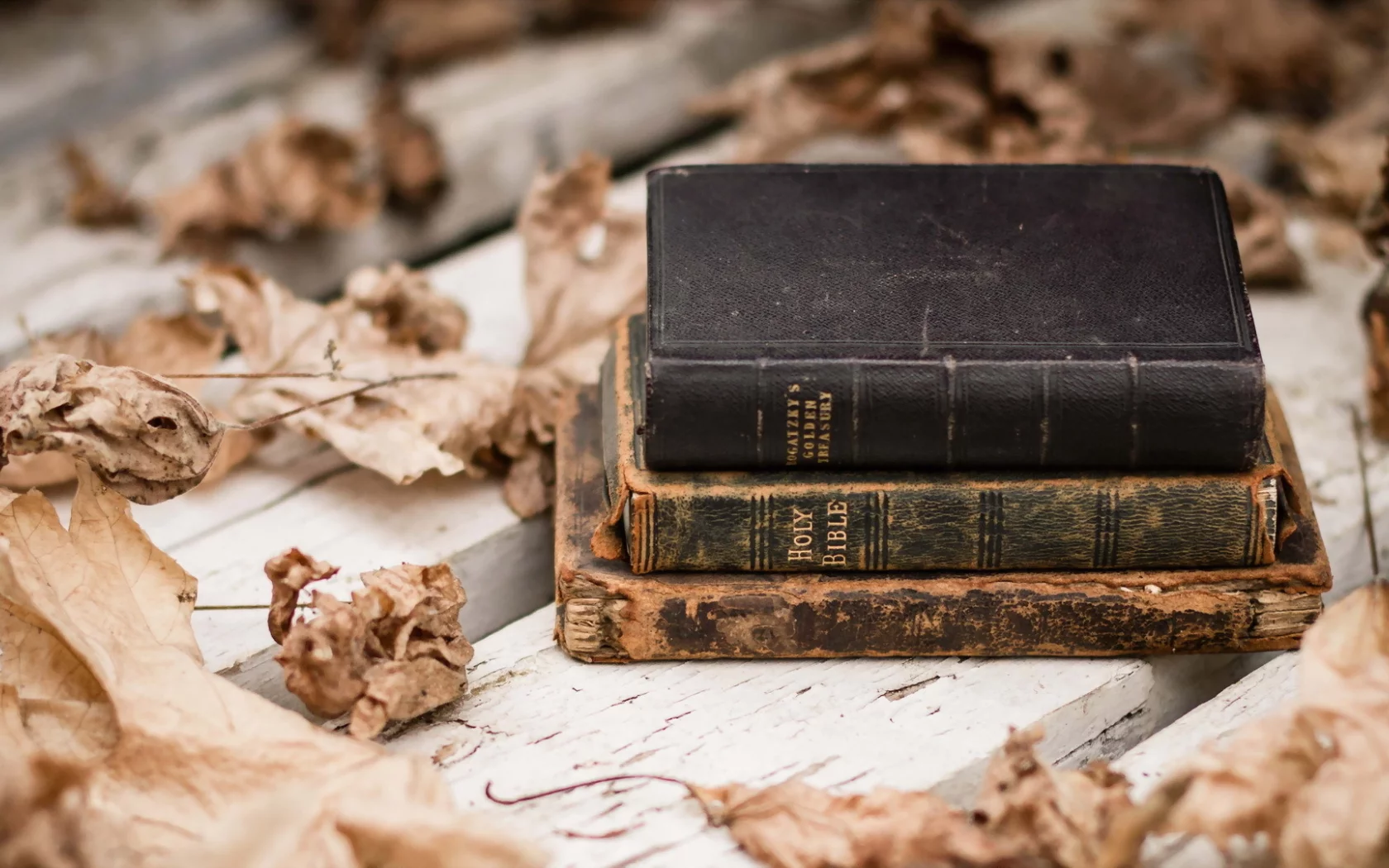листья, книги, фон