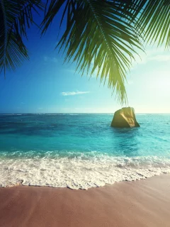 ocean, coast, paradise, beach, sea, summer, тропики, песок, tropical, palm, пляж
