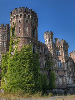 замок, belgium, chateau de la foret, бельгия