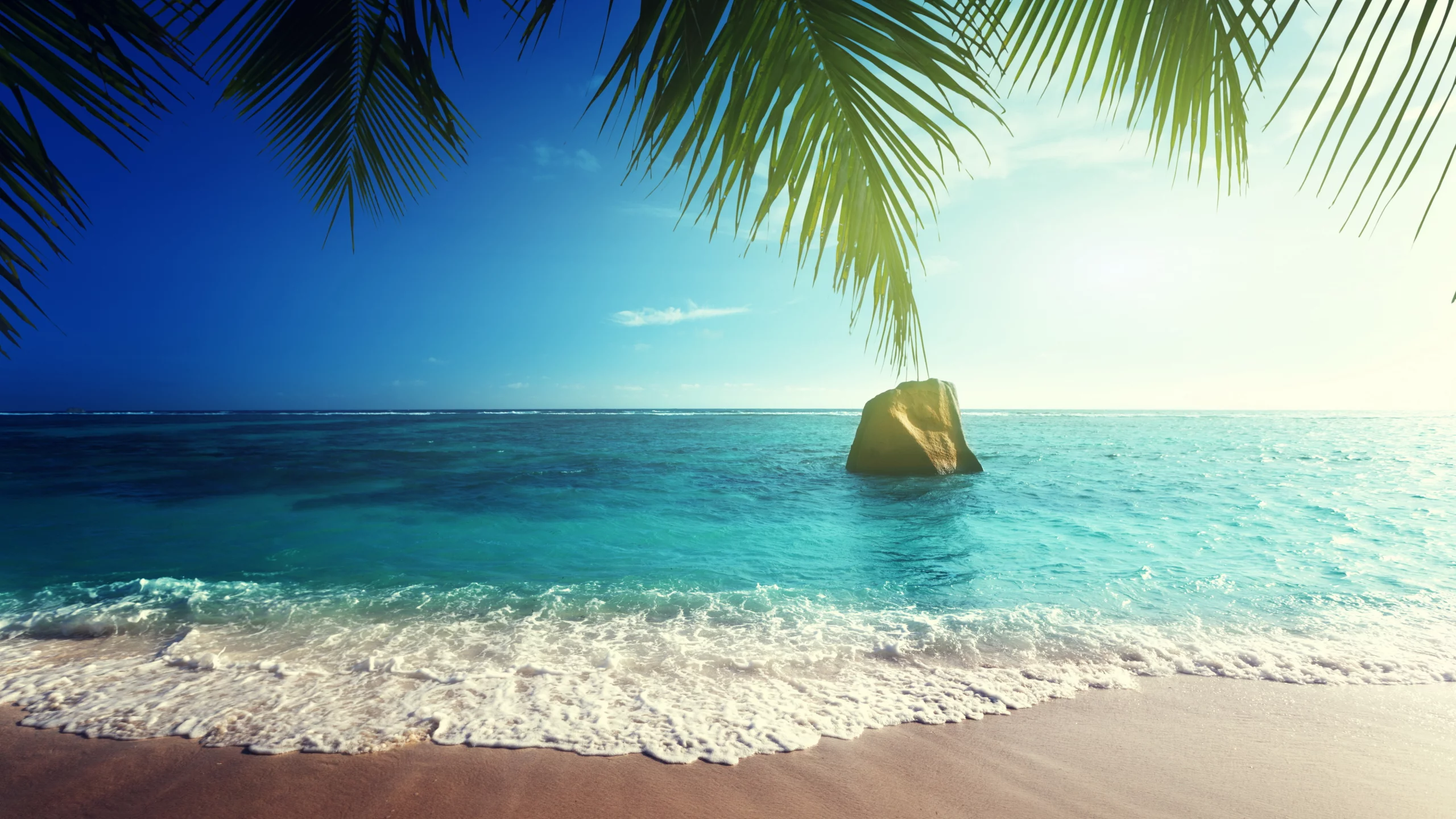 ocean, coast, paradise, beach, sea, summer, тропики, песок, tropical, palm, пляж