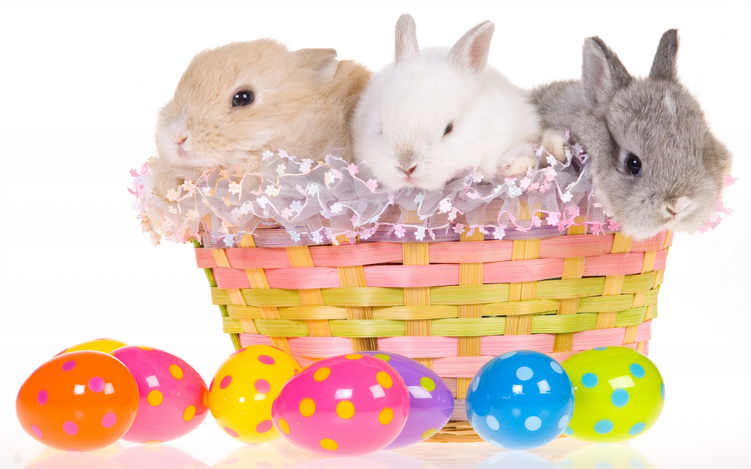 кролики, корзина, easter, яйцо, пасха