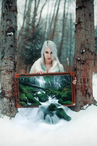 tree, winter transmissions, grove, cold, winter, snow