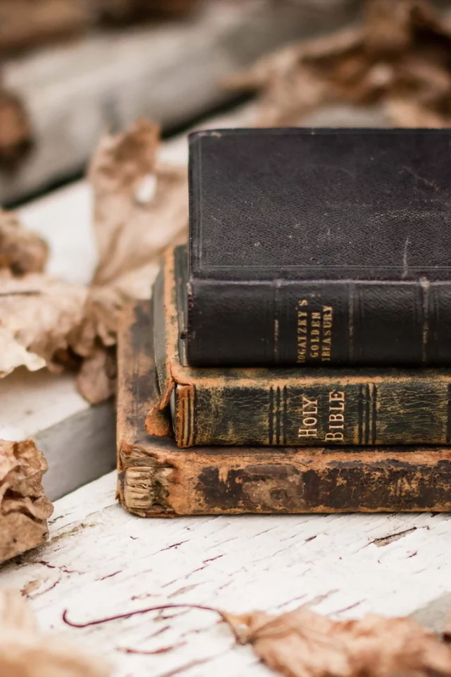 листья, книги, фон
