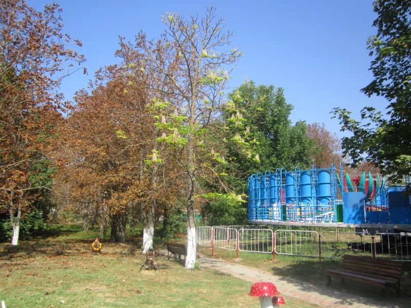 каштаны, цветет, осень