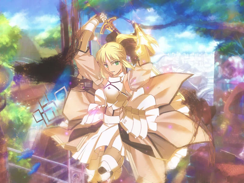 fate stay night, оружие, доспехи, saber lily
