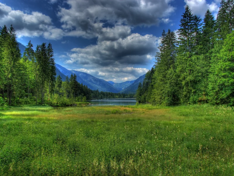 berchtesgaden, трава, ramsau bei, bavaria, бавария, germany, германия