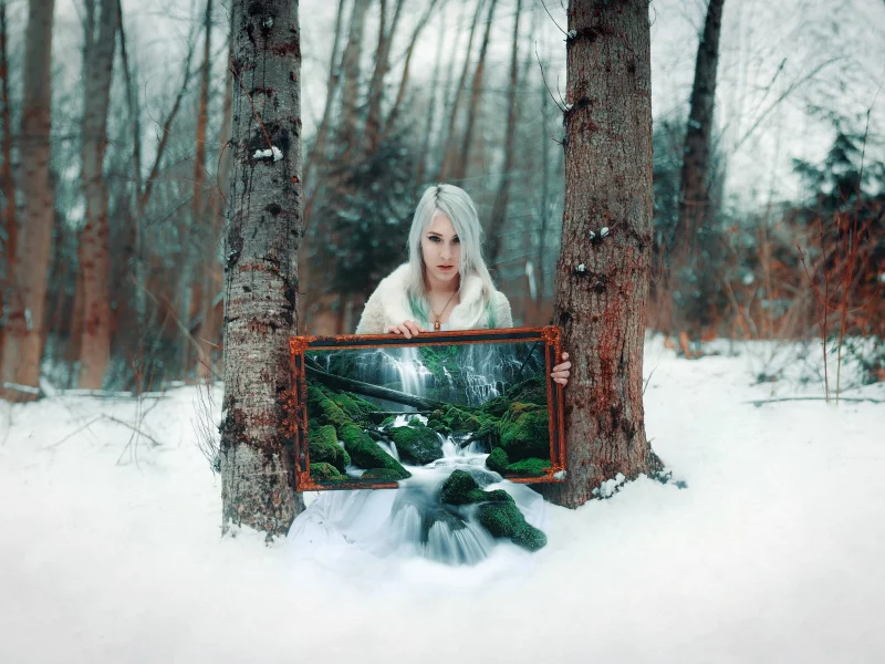 tree, winter transmissions, grove, cold, winter, snow