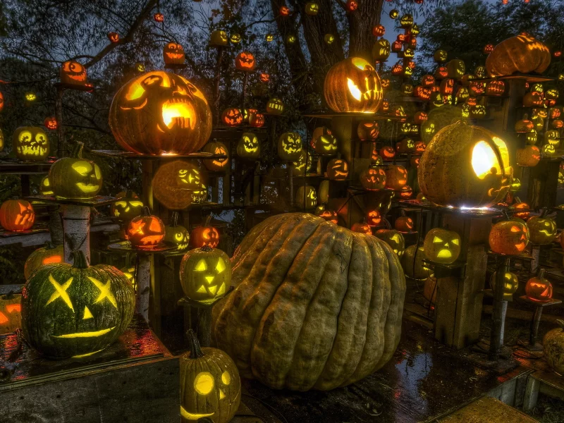 halloween, passion for pumpkins, roger williams park