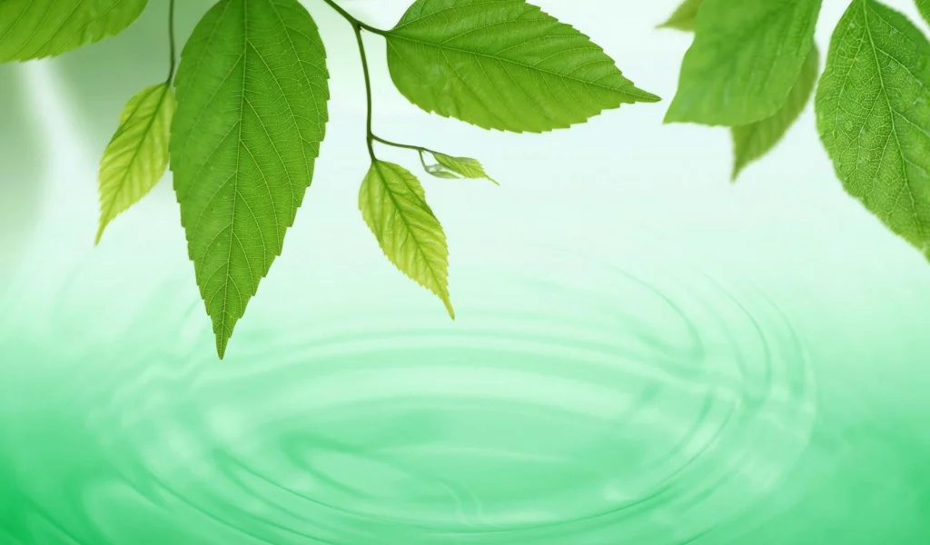 green, фон, листья, вода, макро, waves, water, обои, spring, круги