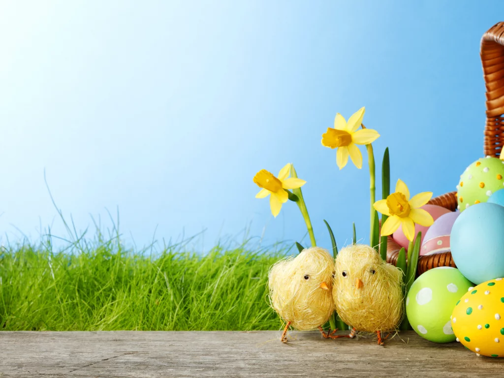 easter, eggs, spring, flowers, пасха, grass, springer, colorful, daffodils, весна