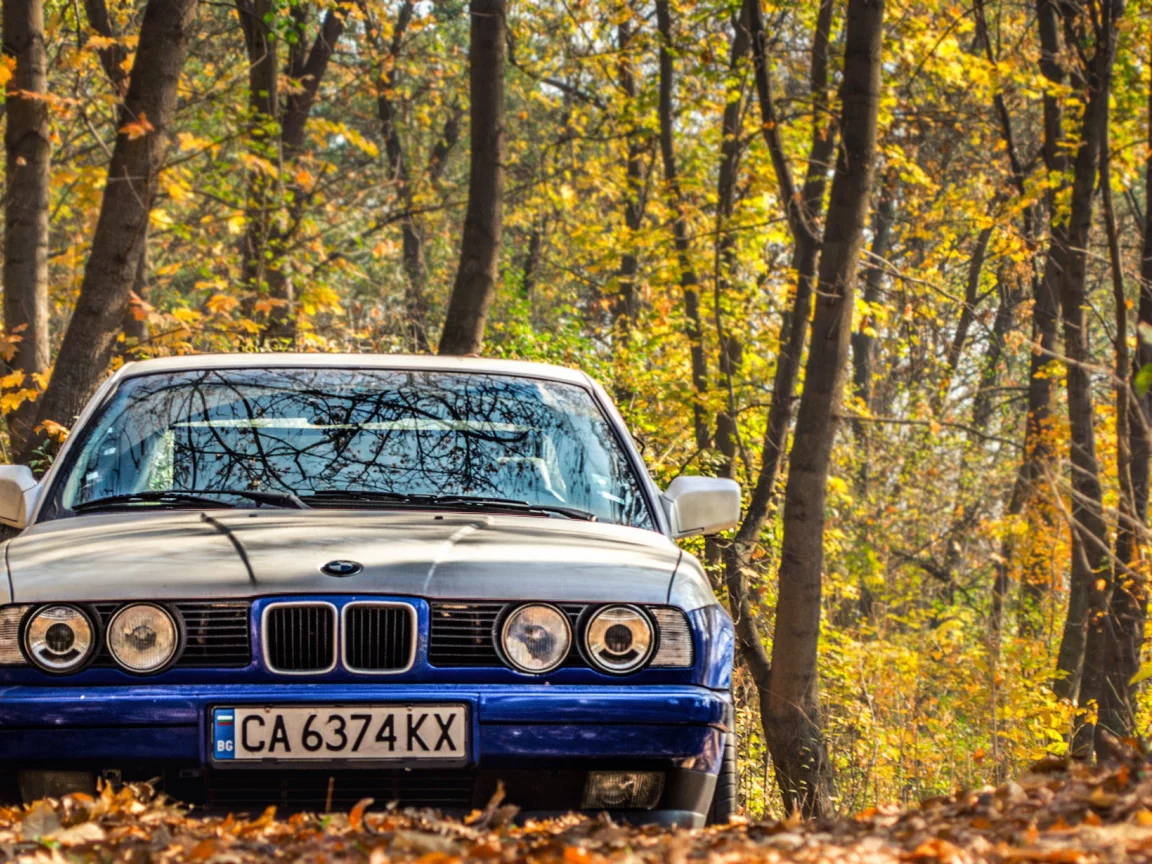 осень, e34, бмв, bmw, тюнинг, 525, классика, листья, фары