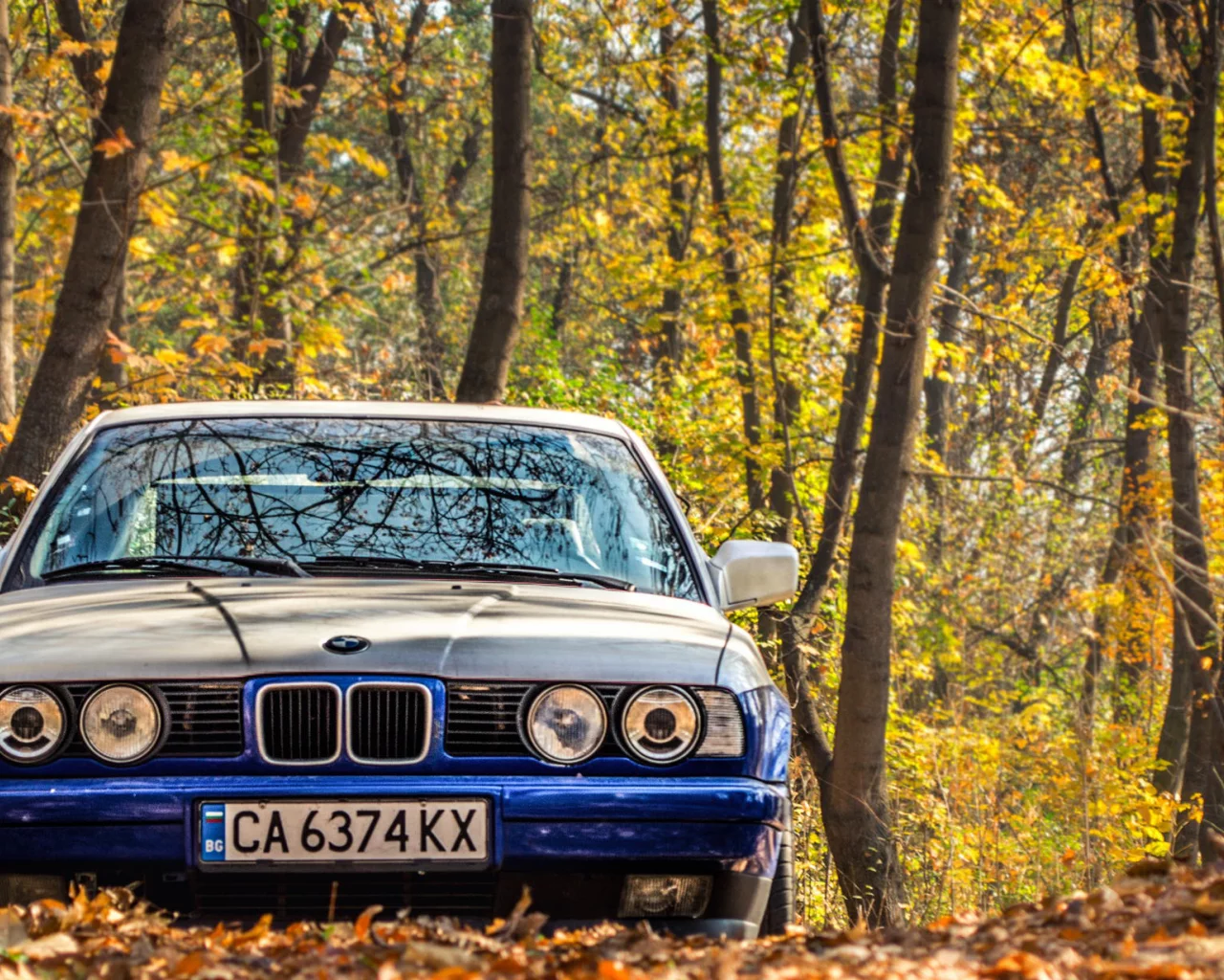 осень, e34, бмв, bmw, тюнинг, 525, классика, листья, фары