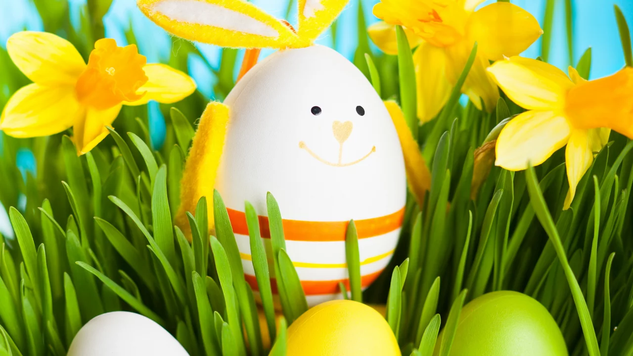 flowers, весна, spring, daffodils, пасха, bunny, easter, grass, eggs, кролик