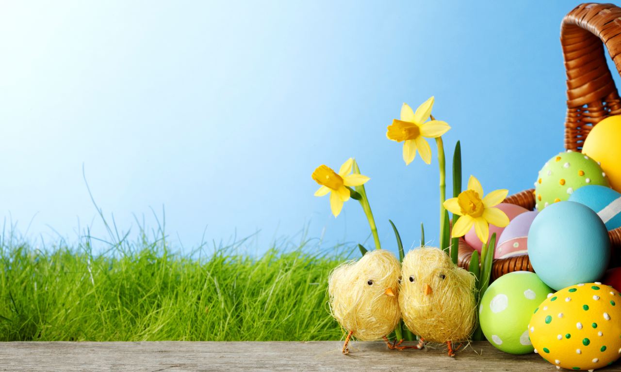 easter, eggs, spring, flowers, пасха, grass, springer, colorful, daffodils, весна