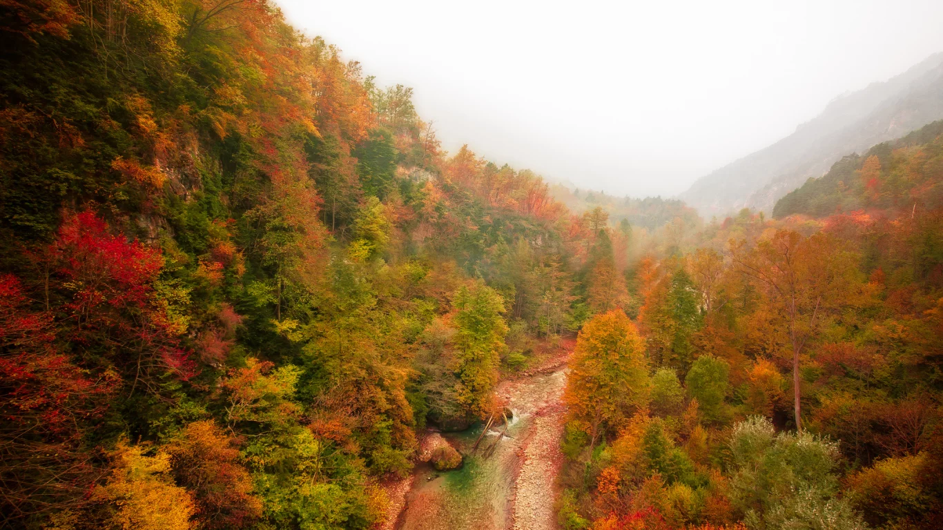 туман, река, горы, лес, осень