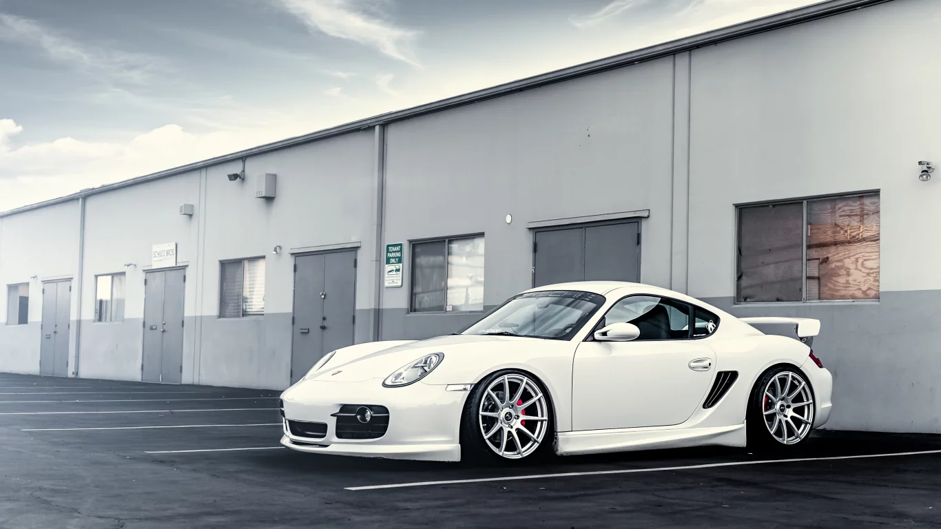 порше, диски, white, белый, porsche